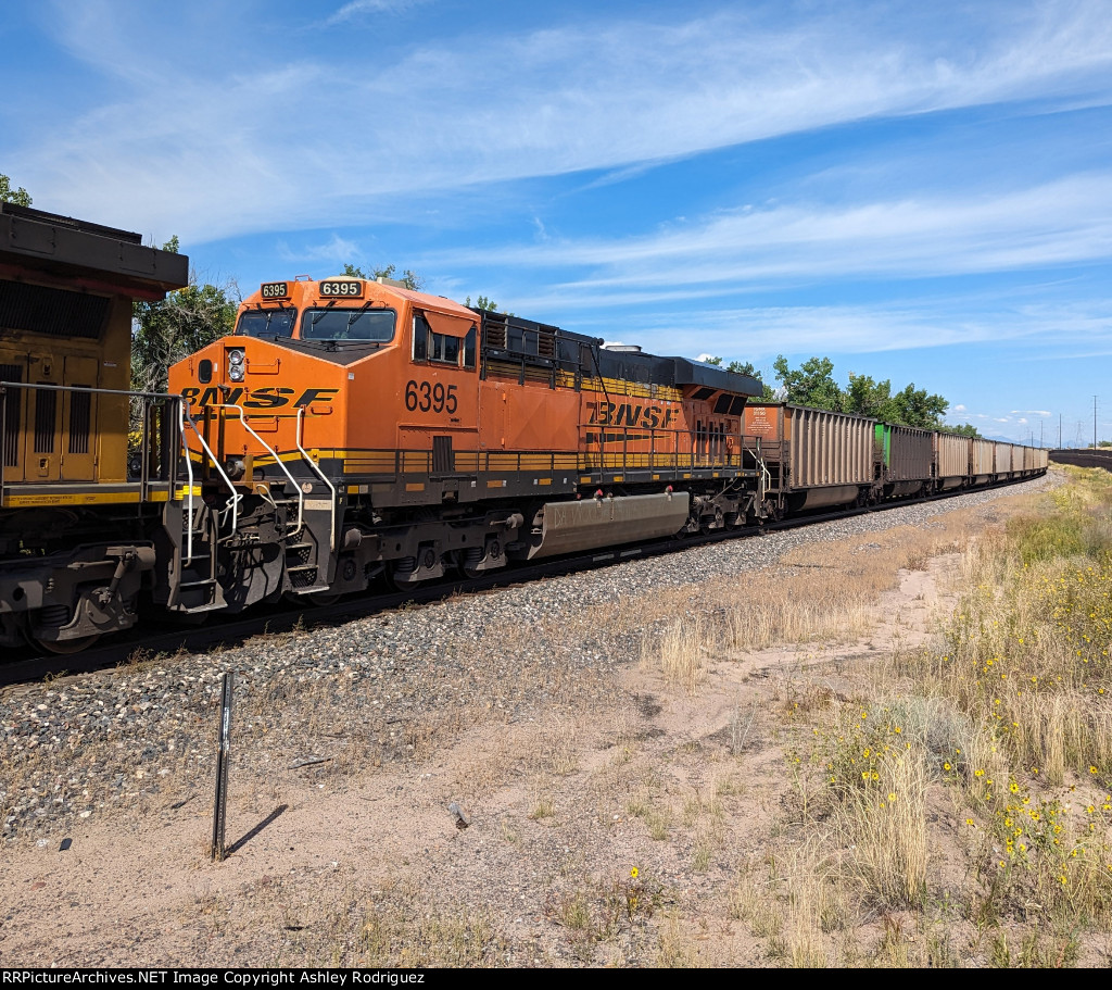 BNSF 6395